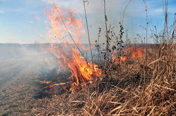 Более 800 ландшафтных пожаров произошло с начала лета на Ставрополье