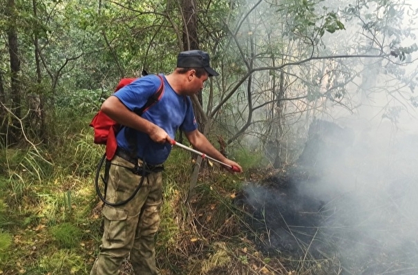 В Иркутской области тушат более 5 тыс. га тайги, пожары возникают из-за гроз