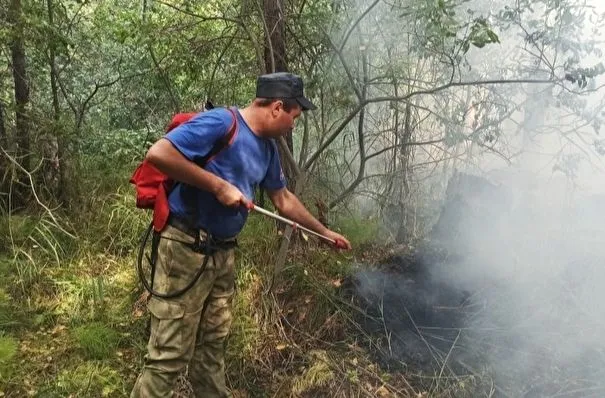 В Иркутской области тушат более 5 тыс. га тайги, пожары возникают из-за гроз