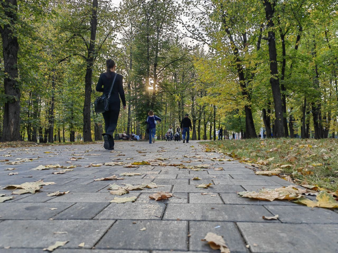 Теплая погода, характерная для сентября, будет в Москве на следующей неделе. Фото. © 