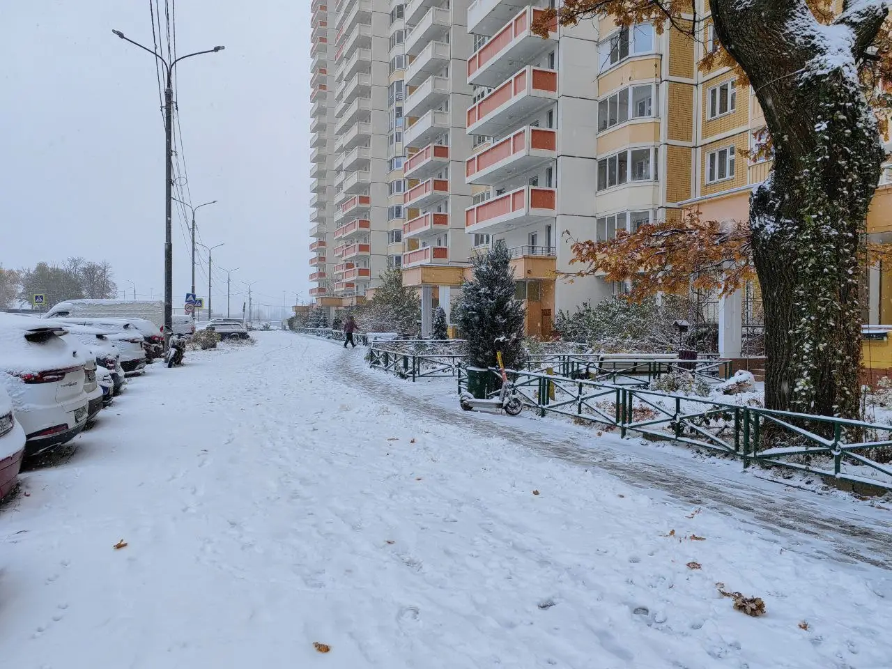 Высота снежного покрова в Москве достигла 18 см. Фото. © 