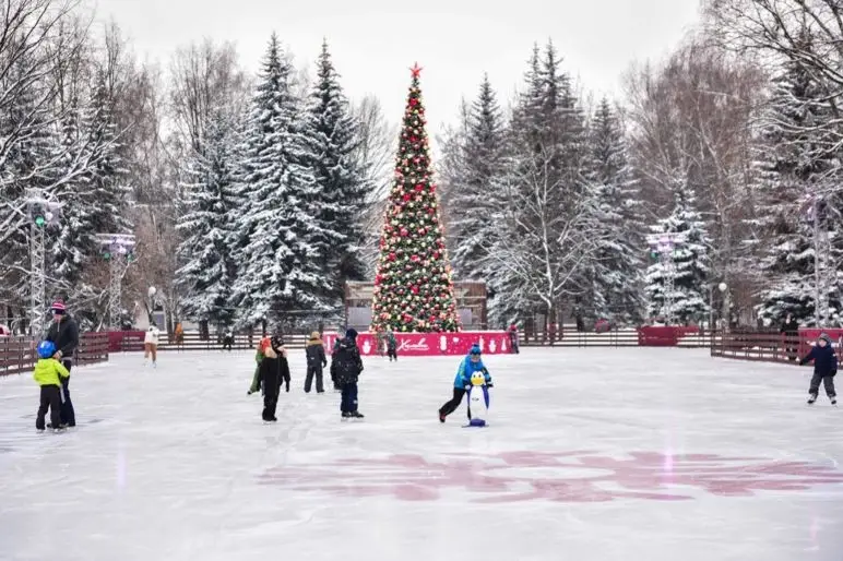 Зима в Подмосковье. Шоу-программы, спорт и зимние развлечения. Фото. © Пресс-служба министерства благоустройства Московской области. Наталья Ермакова