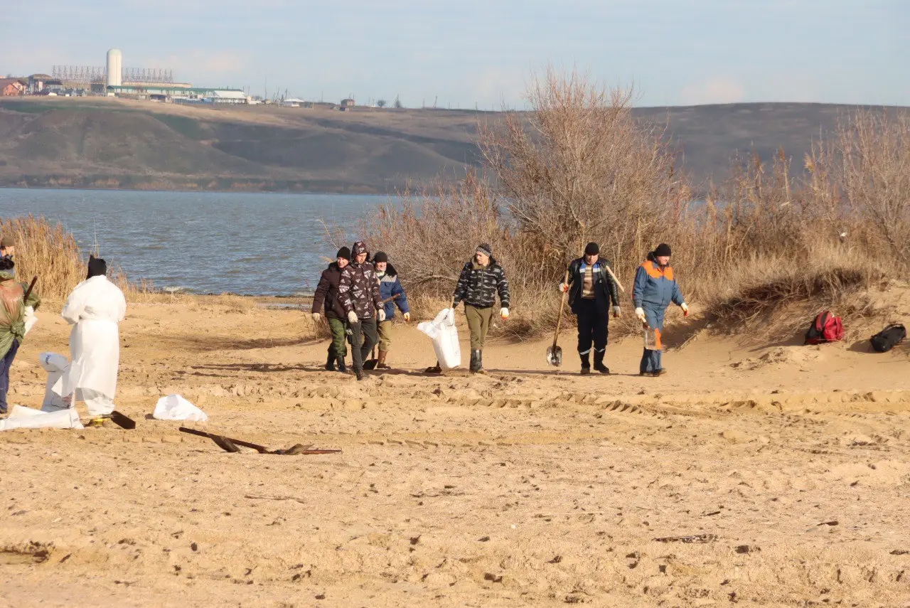 Почти 4 км береговой линии в Темрюкском районе Кубани расчищено от мазута. Фото. © Пресс-служба Администрации Темрюкского района. Екатерина Вареник