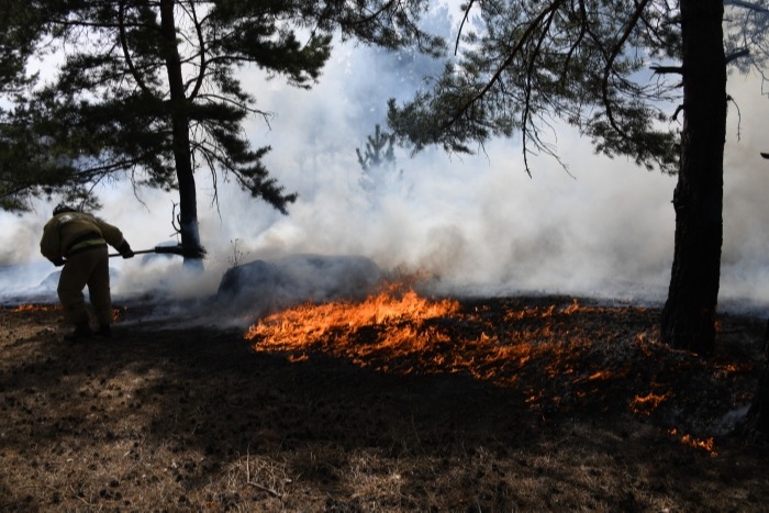 Режим ЧС вводится в лесах двух районов Иркутской области из-за пожаров