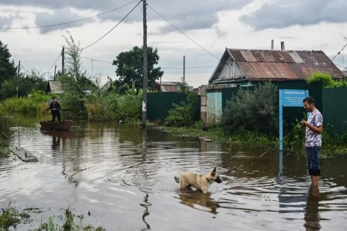 Более 400 дворов подтоплены в Биробиджане после сильных дождей