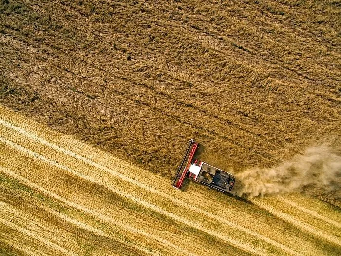 Ростсельмаш провел испытания умного комбайна на уборке подсолнечника