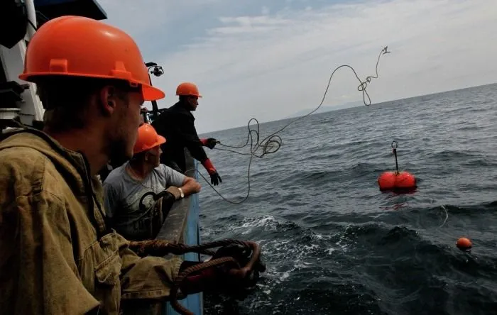 Долг по зарплате морякам судоходной компании "Гудзон" в Приморье составляет 8,1 млн