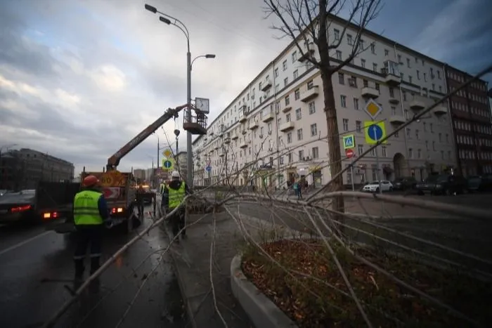 Штормовой ветер повалил деревья и сорвал кровли со зданий в Петропавловске-Камчатском