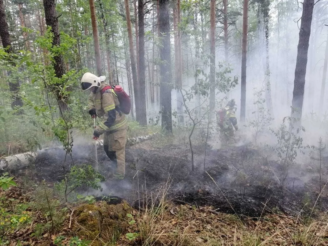 Куйвашев предлагает наградить пожарных, попавших в окружение лесного пожара под Тюменью