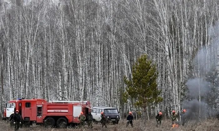 Более 12,5 тыс. га леса горит в Красноярском крае