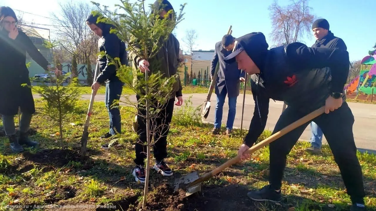 Более 300 деревьев высадили в Рязани в ходе "Большой уборки"