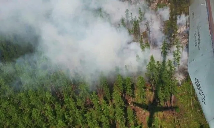 Площадь лесных пожаров в Свердловской области за сутки уменьшилась в шесть раз