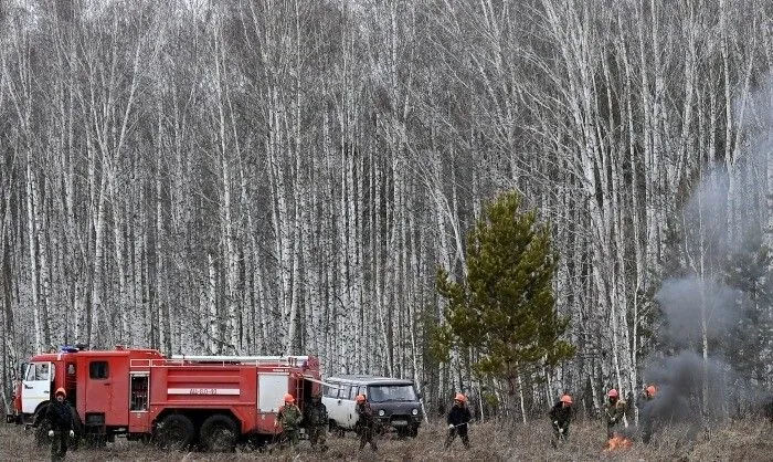 Четыре лесных пожара вблизи поселков зафиксировано в Хабаровском крае