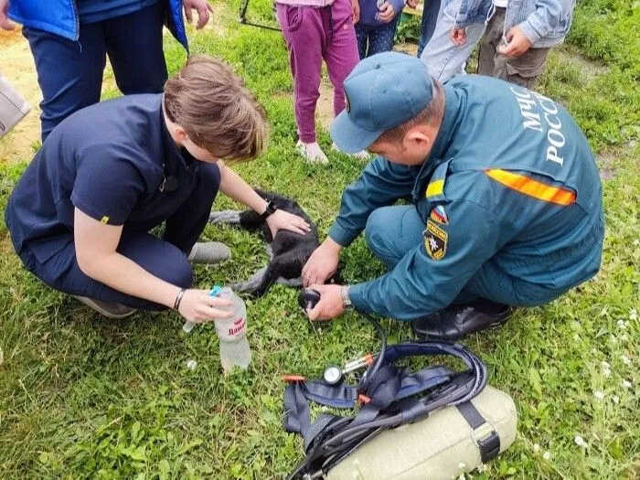 Пожарные в Орле спасли из горящей квартиры кота, потерявшего сознание