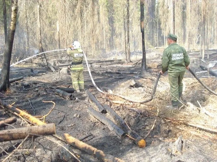 Еще один лесной пожар вблизи деревни вспыхнул в Ивановской области