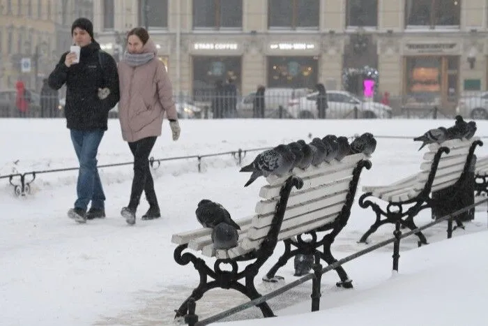 Солнце в Петербурге в декабре светило три часа