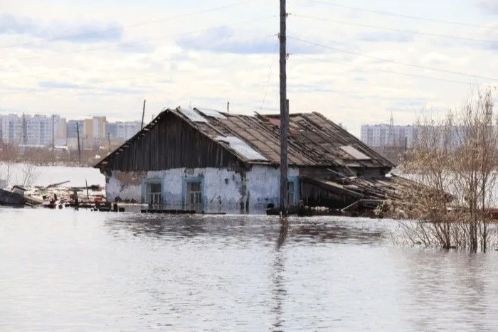 Жителей подтопленных сел в Тульской области обеспечат лекарствами и продовольствием - власти