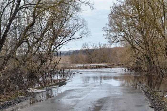 Новый пик половодья в Тульской области ожидается в конце недели - МЧС