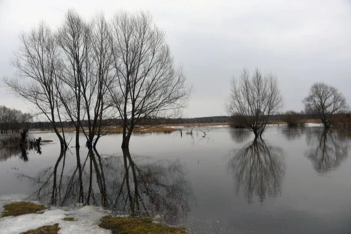 Число подтопленных мостов в Оренбуржье выросло до 36