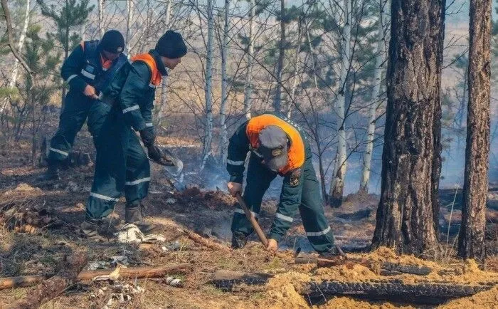 Высокая пожарная опасность объявлена в Курганской области на четыре дня