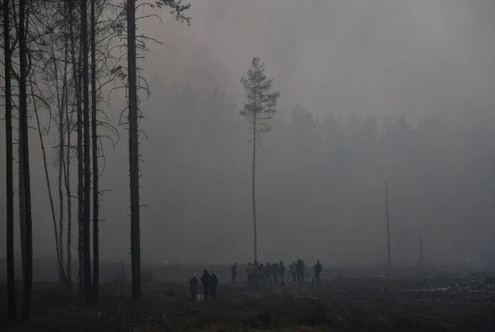 Все природные пожары, угрожавшие населенным пунктам в Курганской, Свердловской и Тюменской областях, ликвидированы - МЧС РФ