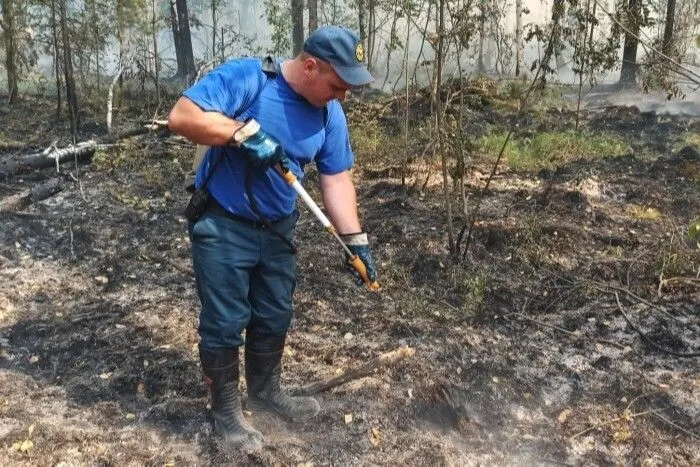 Лесные пожары на площади 1,2 тыс. га ликвидировали за сутки на Дальнем Востоке