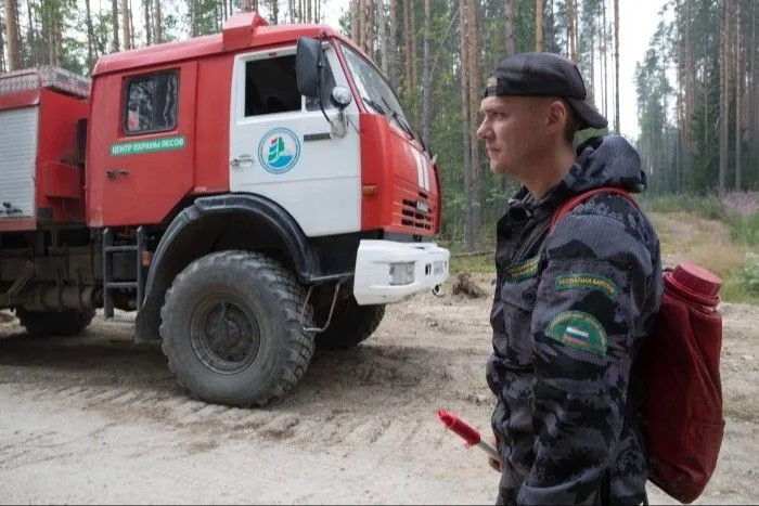 Лесные пожары на площади 540 га потушили за сутки на Дальнем Востоке