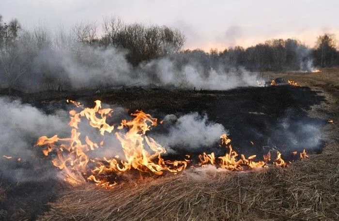 Запрет на разведение костров и сжигание сухой травы вводят в Кабардино-Балкарии