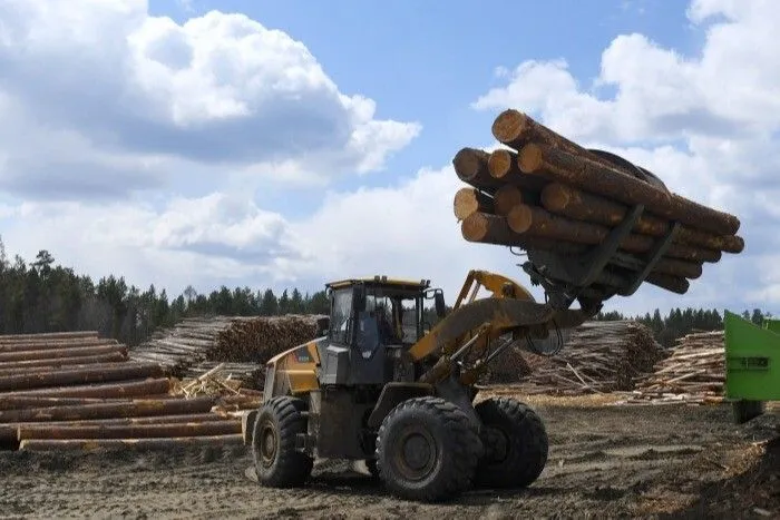 Объем незаконных рубок древесины вдвое сократился на Урале - Рослесхоз