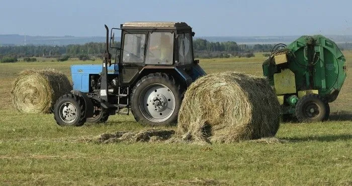 Самарская область констатирует трудности с заготовкой кормов, но рассчитывает на свои силы