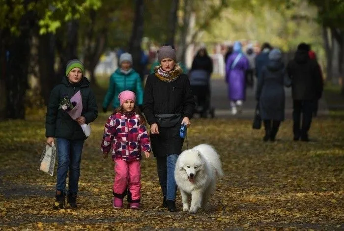 Прохладная погода ожидается на юге Центрального федерального округа - Гидрометцентр