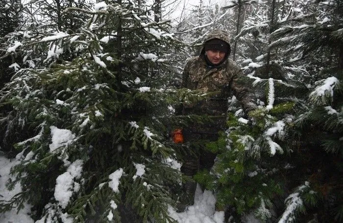 На Урале падает спрос на новогодние елки