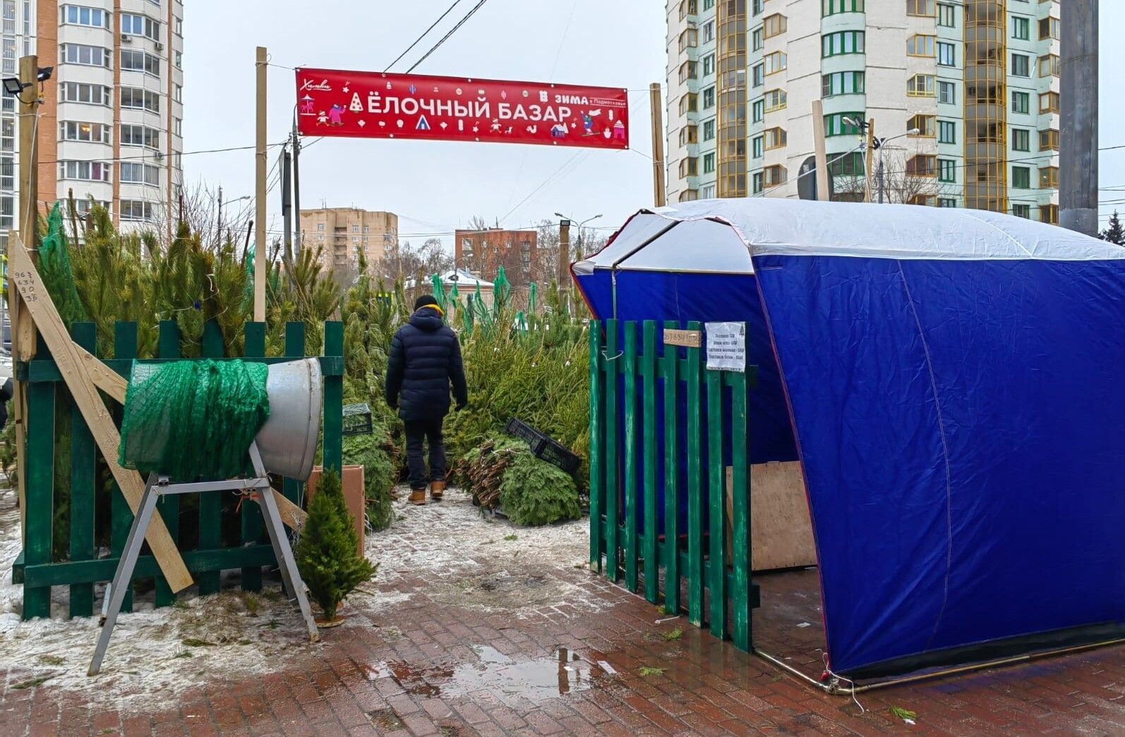 В Москве открылись елочные базары