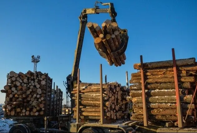 Новый эпизод выявлен в деле о многомиллионной контрабанде леса из Приангарья