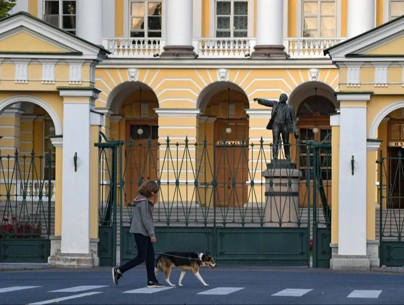 Власти Петербурга смогут помочь НКО в сфере поддержки детей и бездомных животных