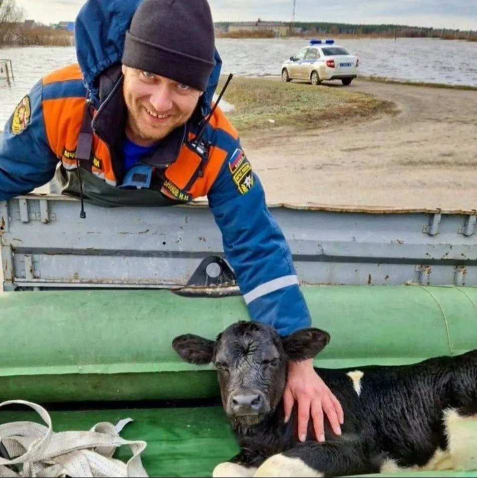 Спасатели вывозят на лодках жителей затопленных зон Курганской области и животных