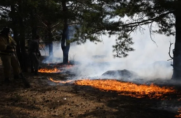 Пожароопасный сезон начался в Коми