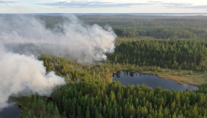 Природные пожары на площади более 400 га зафиксированы в Якутии - власти