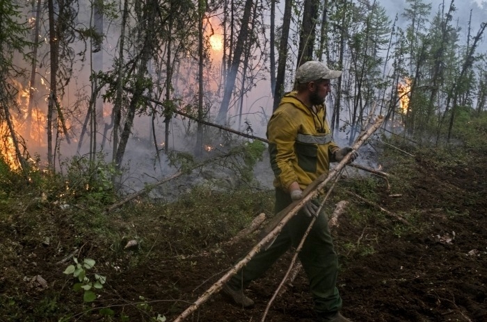 МЧС РФ: более 607 тыс. га охвачены природными пожарами в 18 регионах РФ
