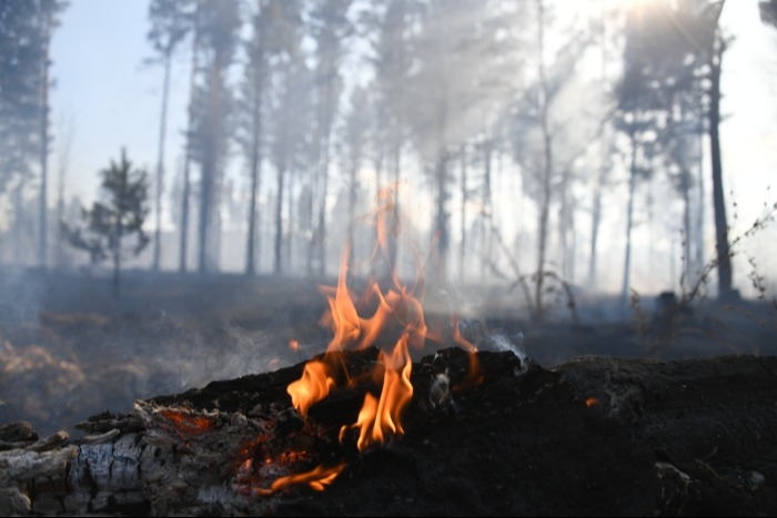 В Якутии действуют 105 лесных пожаров на площади 350 тыс. га - власти