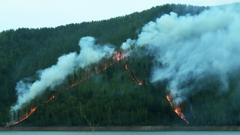 Леса на площади 2,5 тыс. га горят в Туве