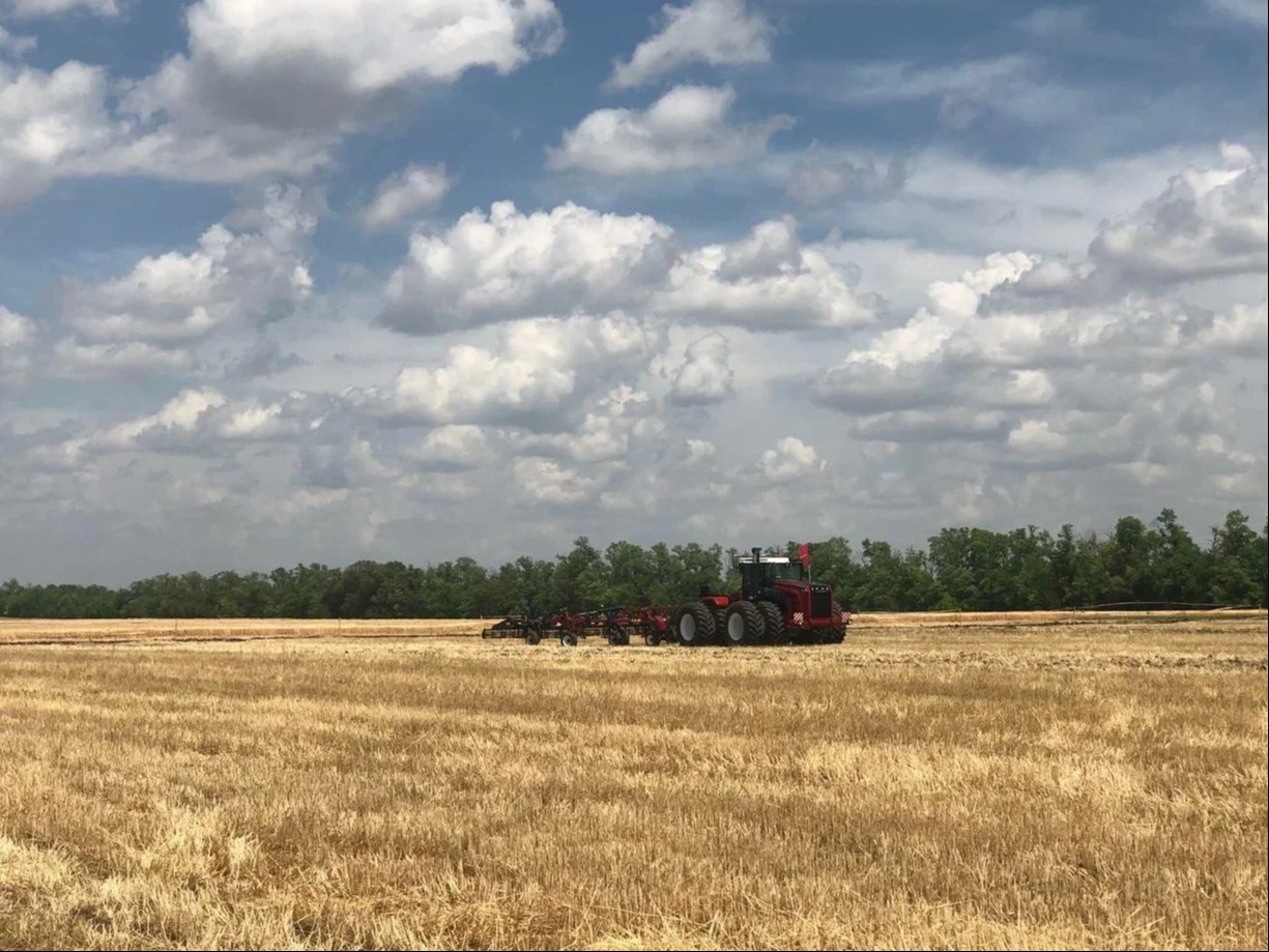 Ростовская область собрала 2,6 млн тонн ранних зерновых с 22% площадей - власти