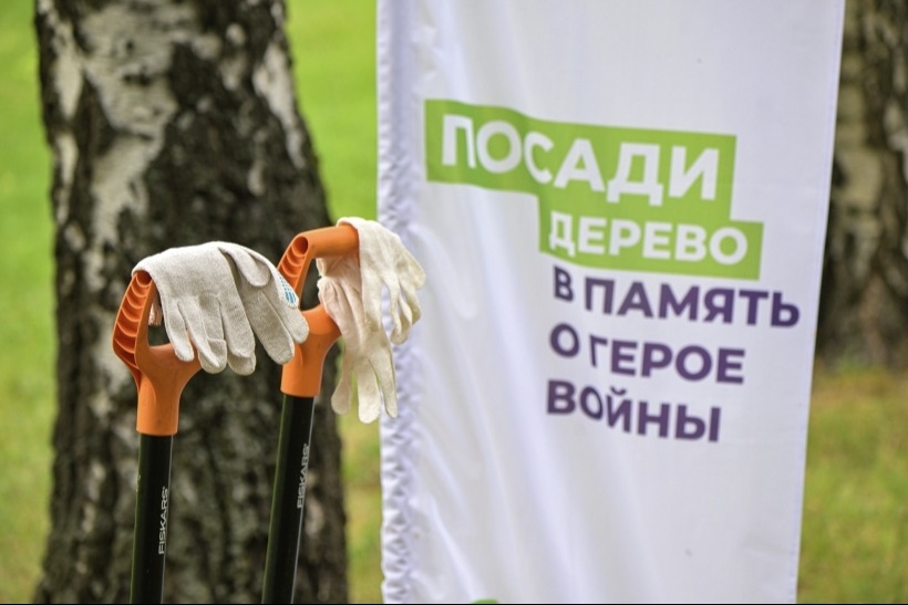 Около 10 млн деревьев посадили в Тверской области в память о фронтовиках