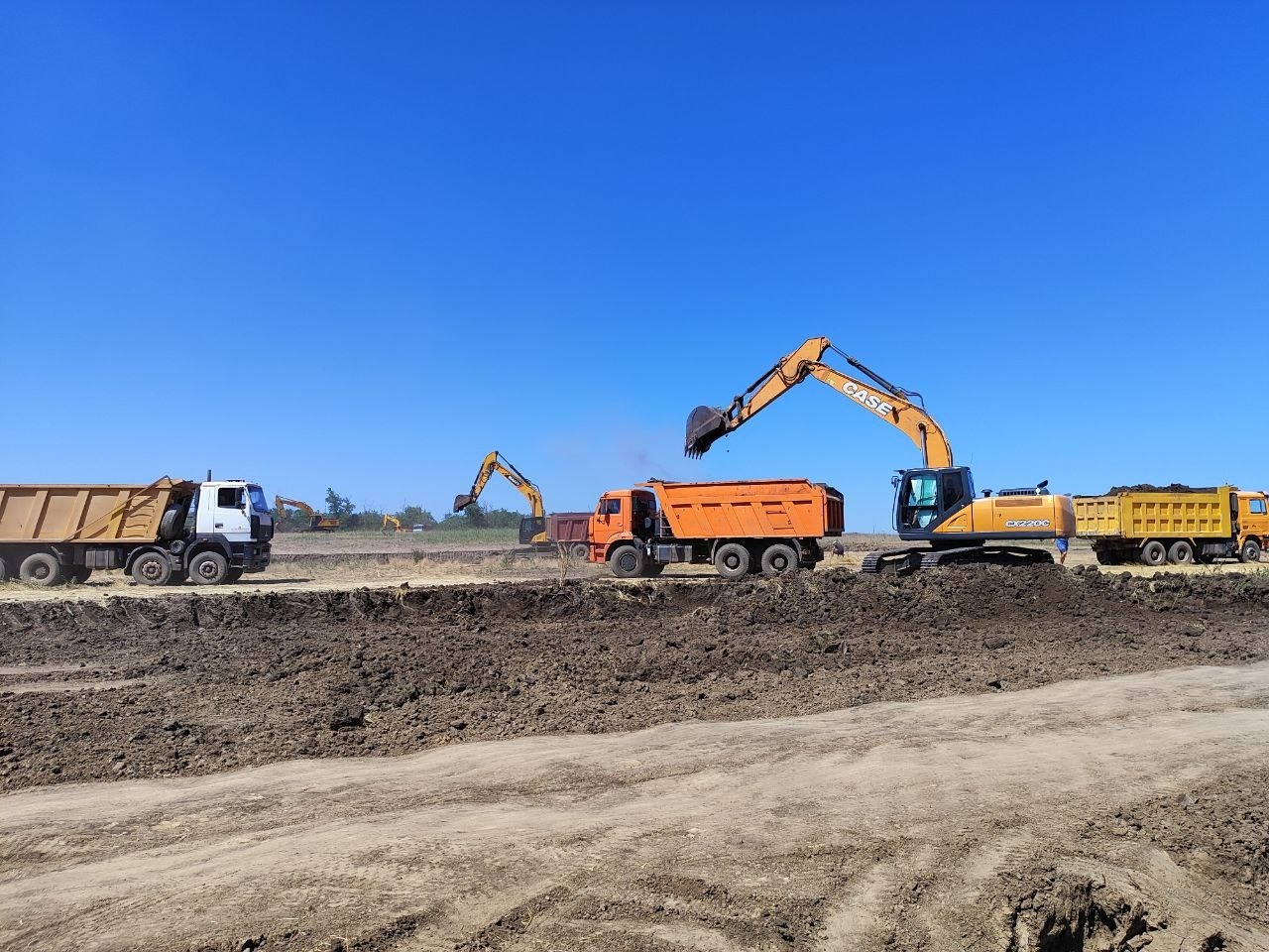 "Амирост" вложит в 1-ю очередь завода по переработке кукурузы в Ростовской области 40 млрд руб