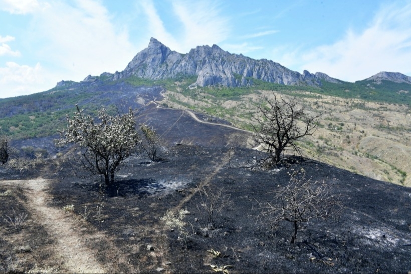 В МЧС уточнили площадь крупного возгорания в крымском заповеднике