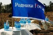 "Родники России" высадили 25 тыс. саженцев сосны на месте гари в одном из лесничеств Иркутской области