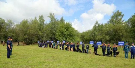 Соревнования кинологов Центрального регионального центра МЧС проходят под Тулой