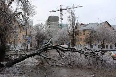 Проверку проведут на всех стройках Свердловской области, где работают башенные краны