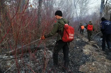 Особый противопожарный режим введен в Ульяновской области