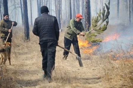 Лесной пожар тушат в Бурятии на территории нацпарка